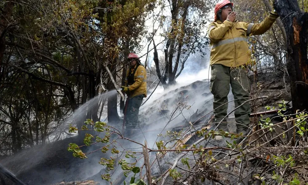 Incendio en Parque Nacional Lanin