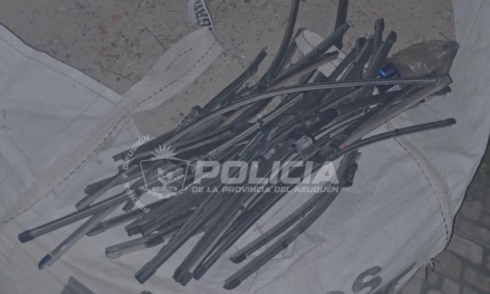 Limpiaparabrisas robados