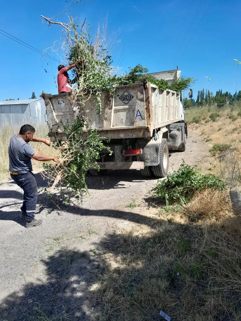 WhatsApp Image 2023-12-28 at 11.40.43