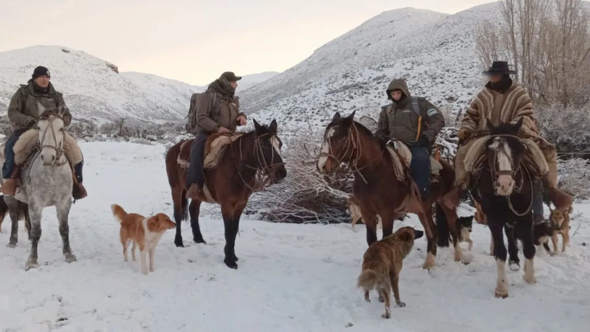 Equipo de rescate en alta montaña