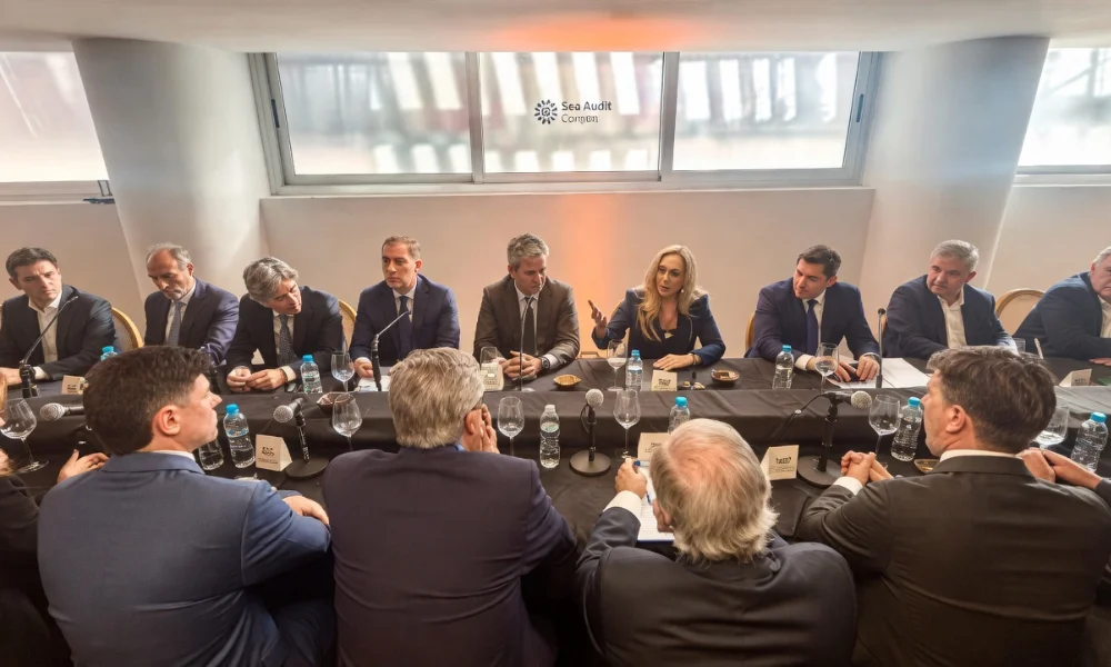 El Ministerio de Salud reunió este jueves a representantes de todas las provincias para analizar el brote de hantavirus.