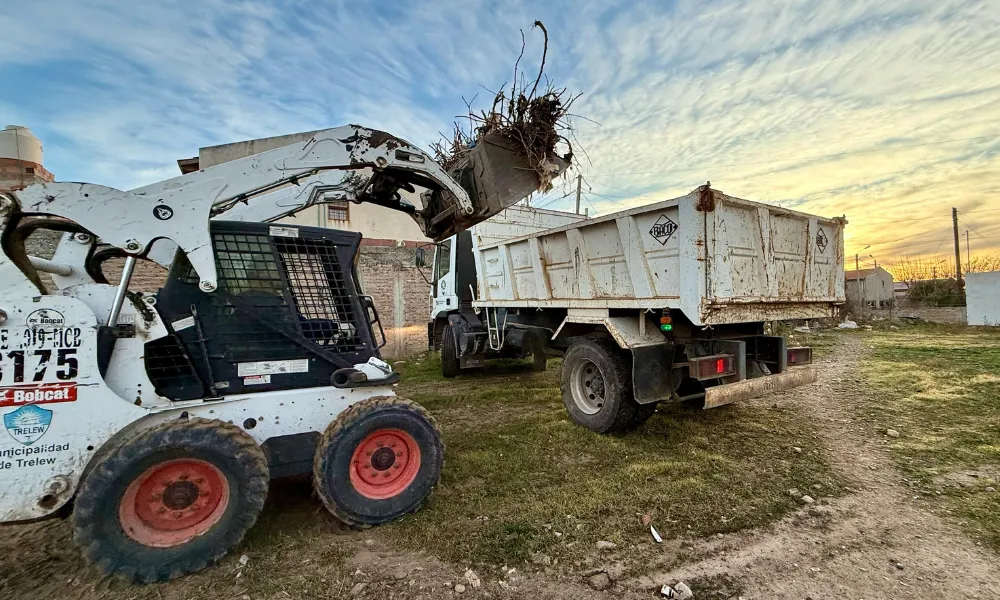 Limpieza de minibasurales en Trelew