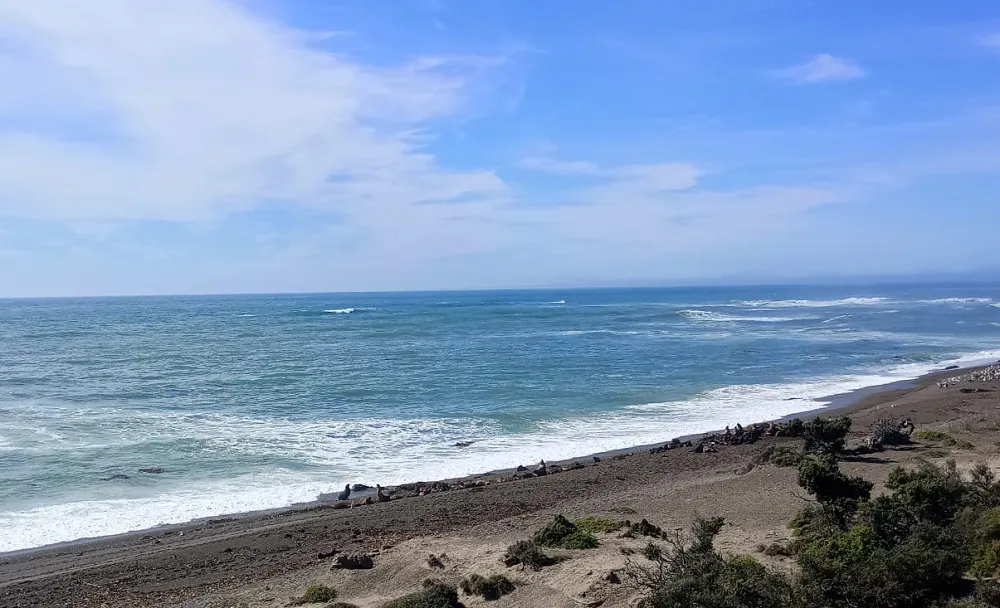 Playa, costa, chubut, sol, mar, clima, temperatura