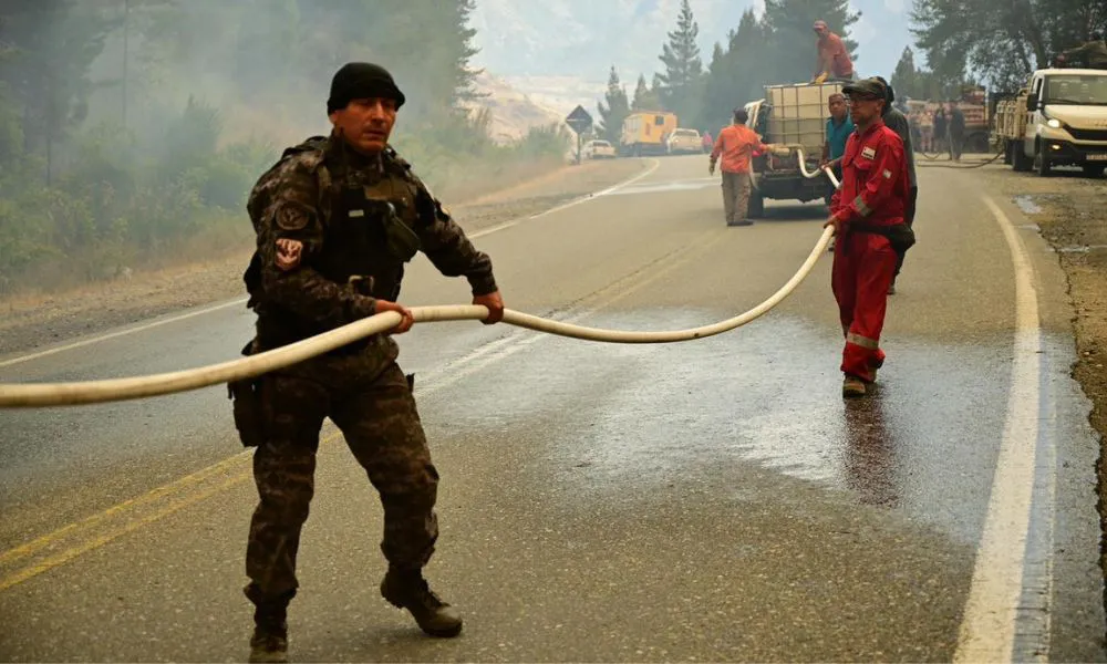 Incendios en la Cordillera 2026 12