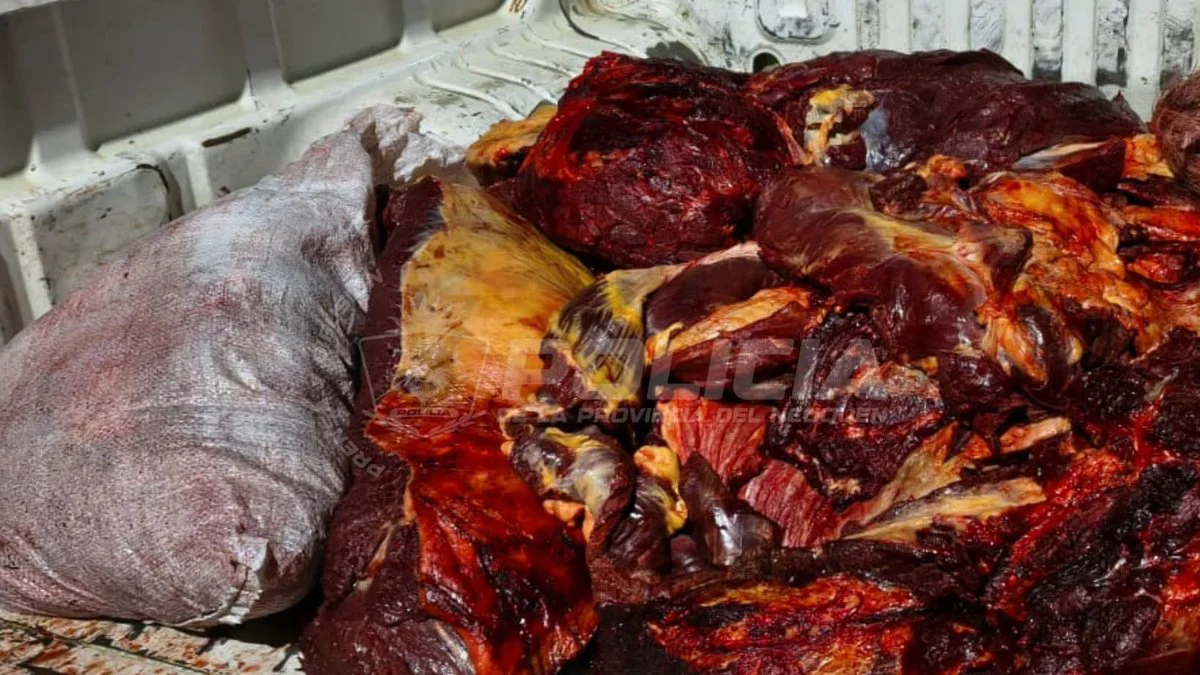 Incautan más de 200 kilos de carne