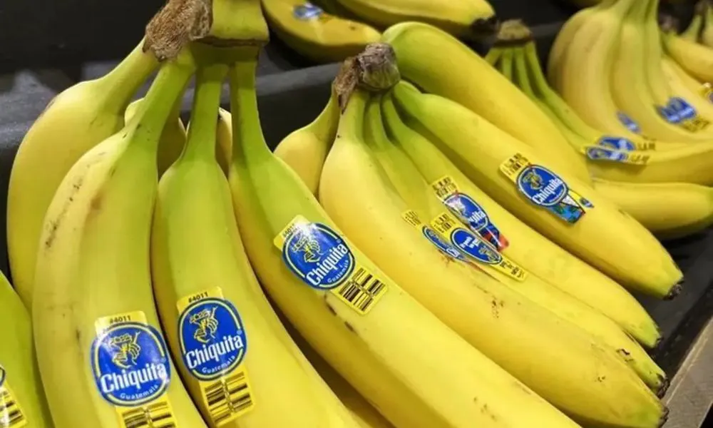 Chiquita Brands