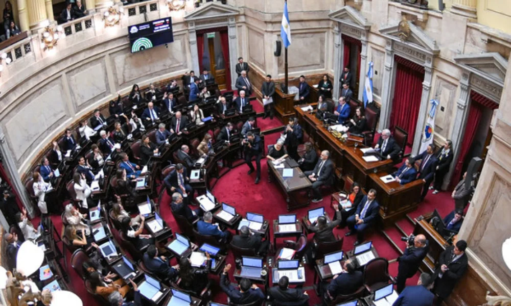 La votación reunió 40 votos afirmativos y 22 negativos, suficiente para que continúe ahora su recorrido en la Cámara de Diputados.