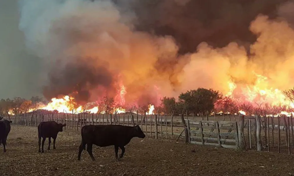 Fuego en La Pampa