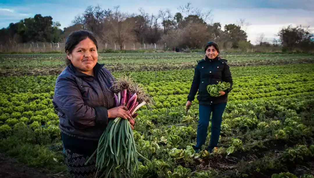 Se invita a participar en el programa nacional "Mujeres Produciendo Alimentos"