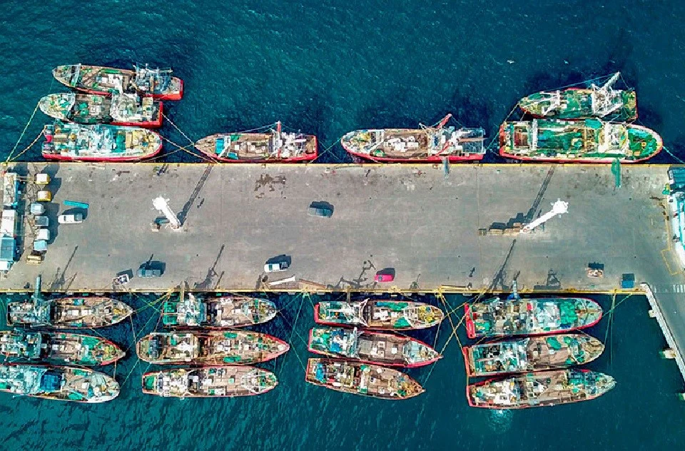 muelle pesquero arriba