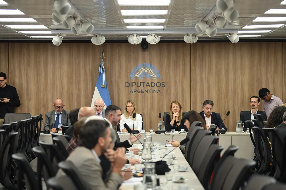 Comisión Previsional en la Cámara de Diputados
