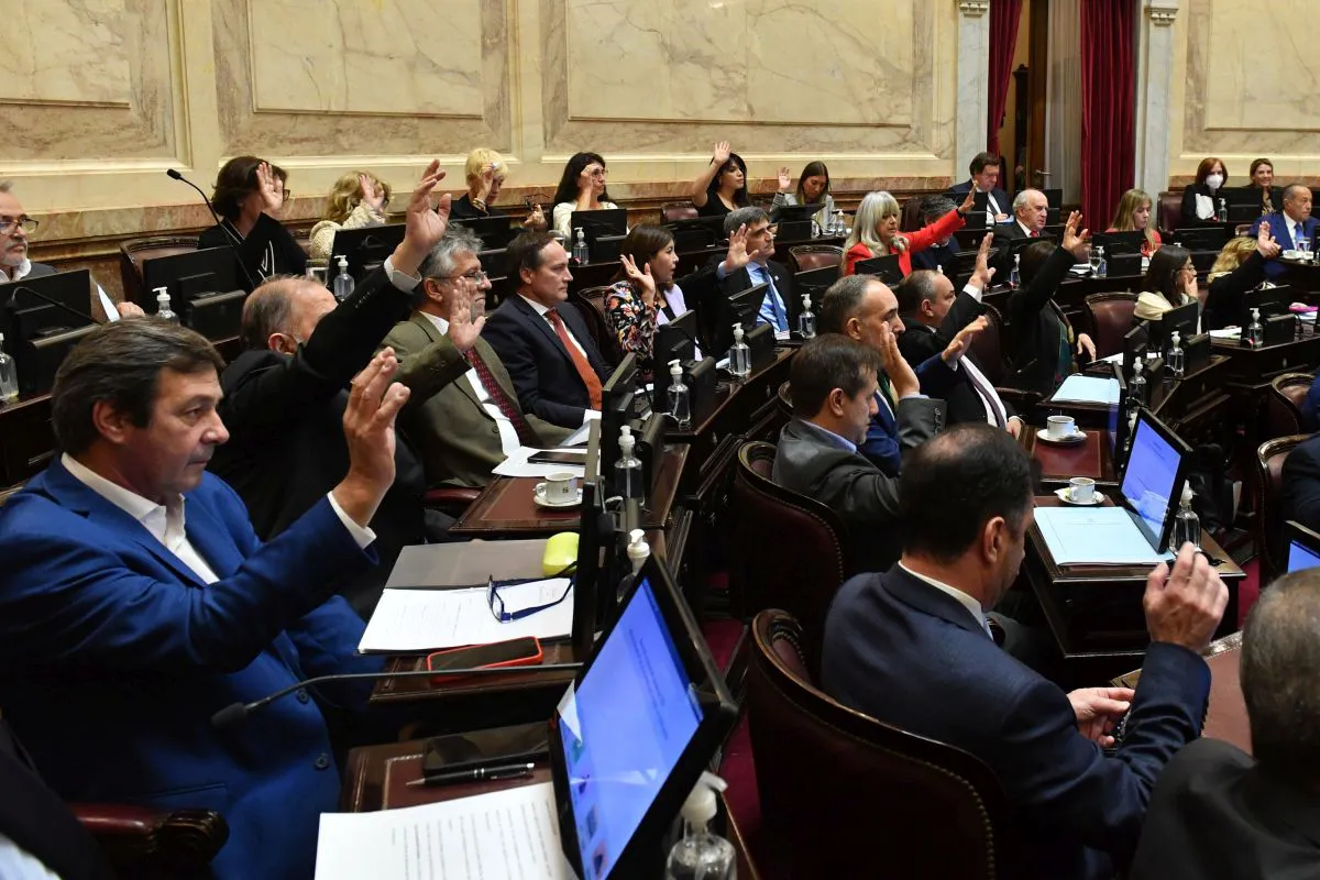 Senadores votando en el Congreso