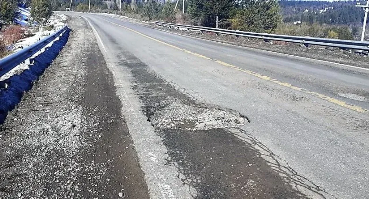 bache ruta