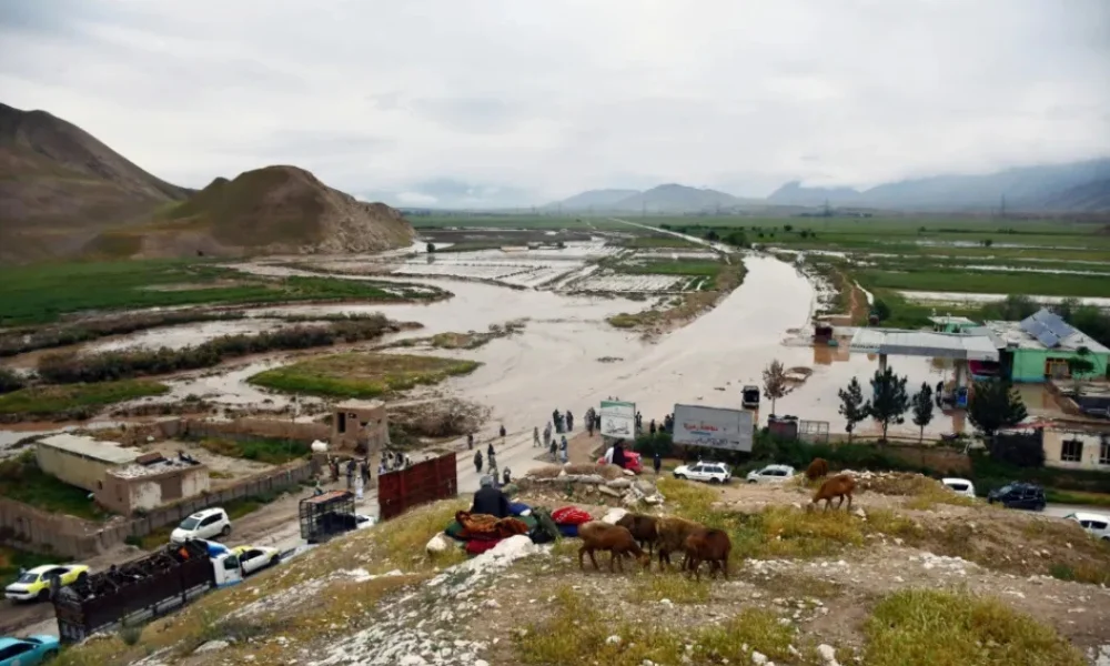 Las autoridades reportaron que 3.466 viviendas fueron destruidas o quedaron parcialmente dañadas.