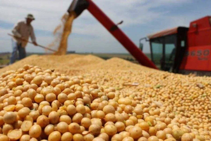 La soja representó casi un cuarto del total de las exportaciones en 2025