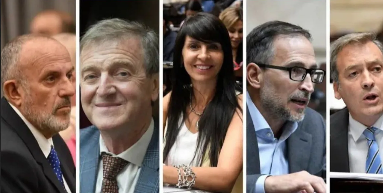 legisladores rio negro patrimonio