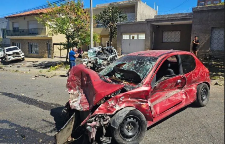 palo neuquen