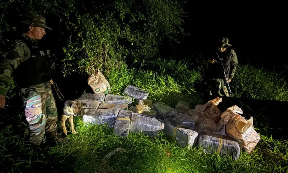Hallan más de 200 kilos de droga en Misiones
