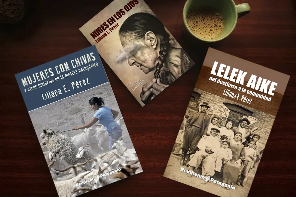 Literatura patagónica