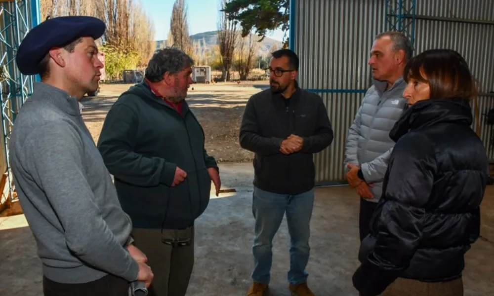 Tacceta y productores