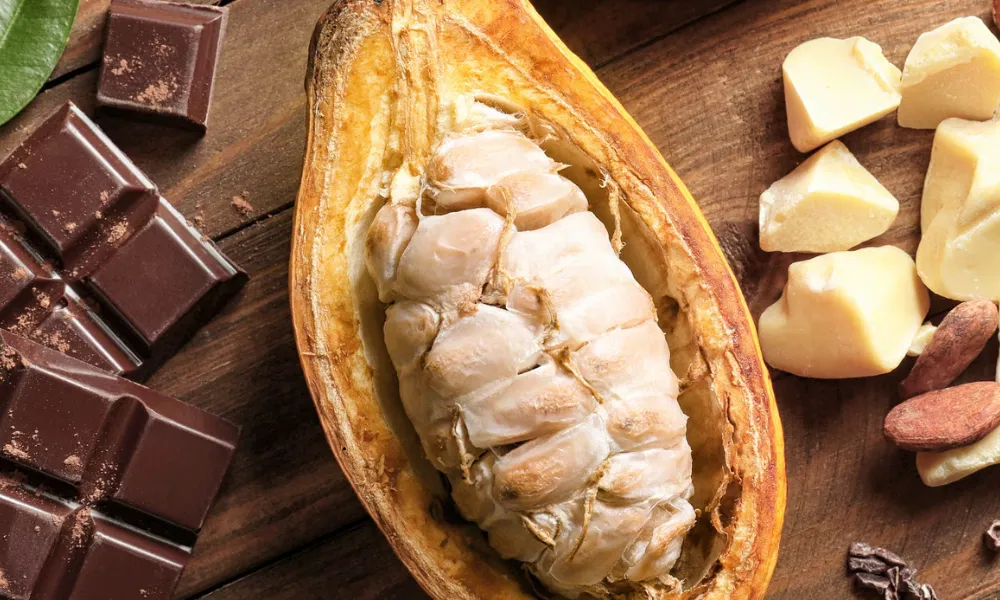 Día del Cacao