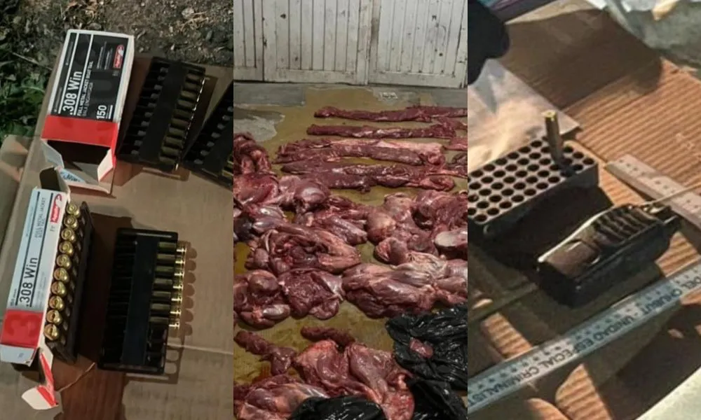 Decomisan 250 kilos de carne de guanaco
