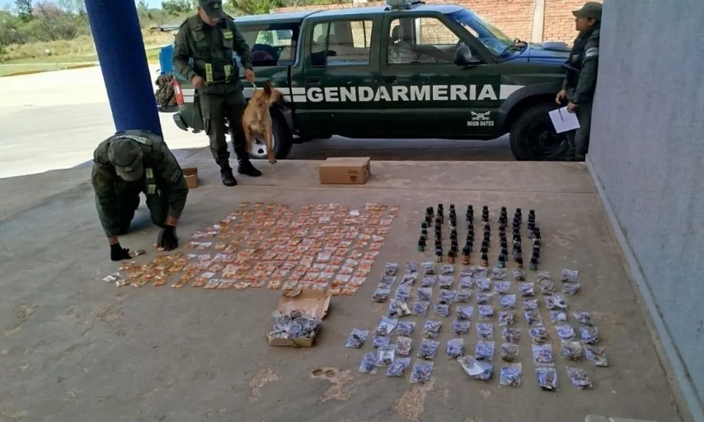 Secuestran hongos y brownies con droga