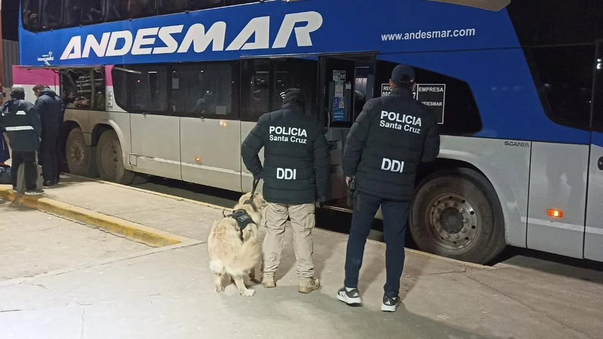 CONTROLES PREVENTIVOS EN LA TERMINAL DE ÓMNIBUS