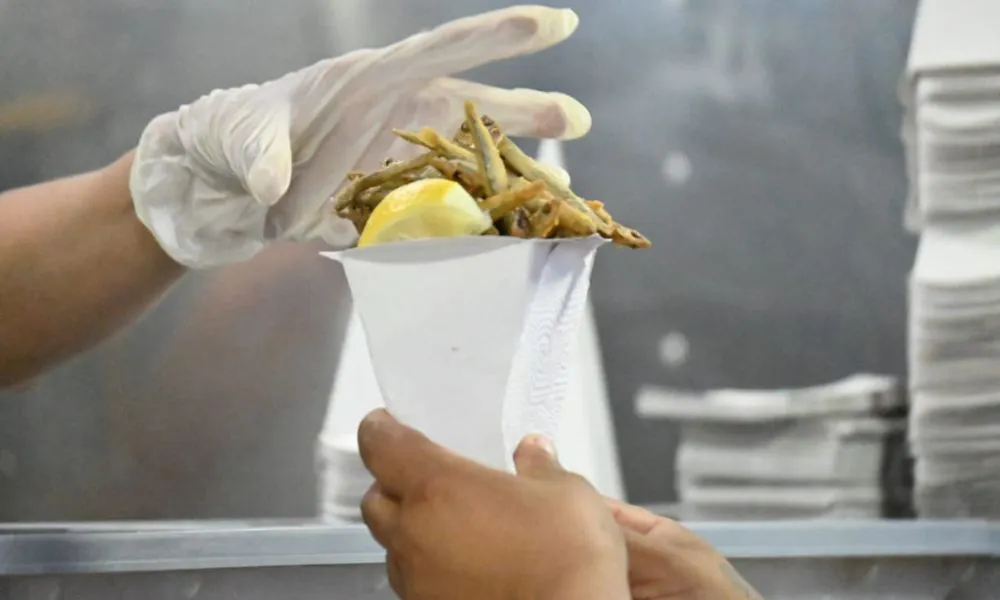 plásticos cero madryn