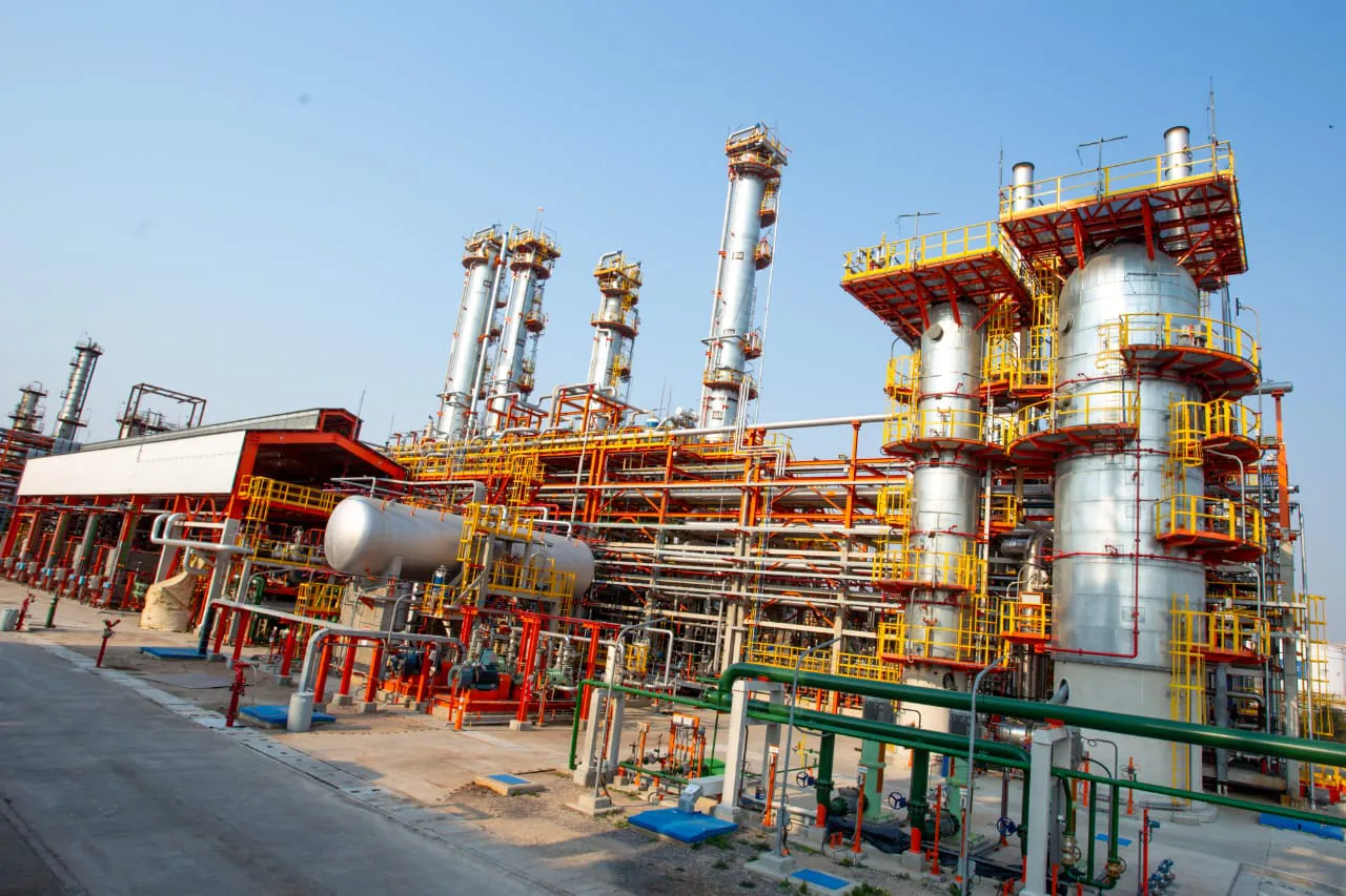 WhatsApp Image 2024-08-12 at 15.29.01