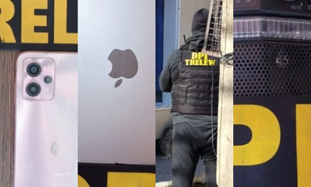 Elementos recuperados