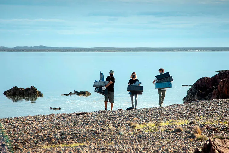 Residuos Pesca