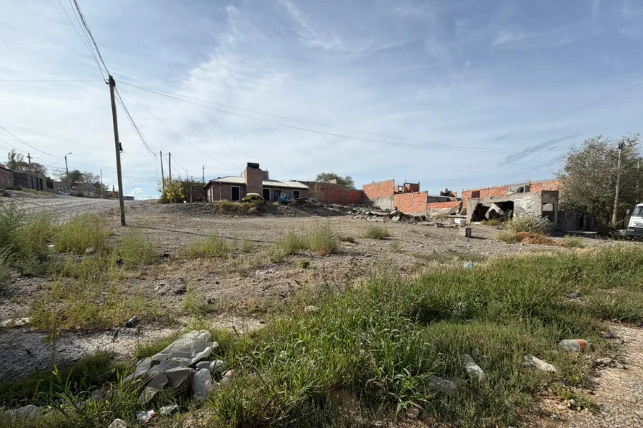 Terrenos baldíos