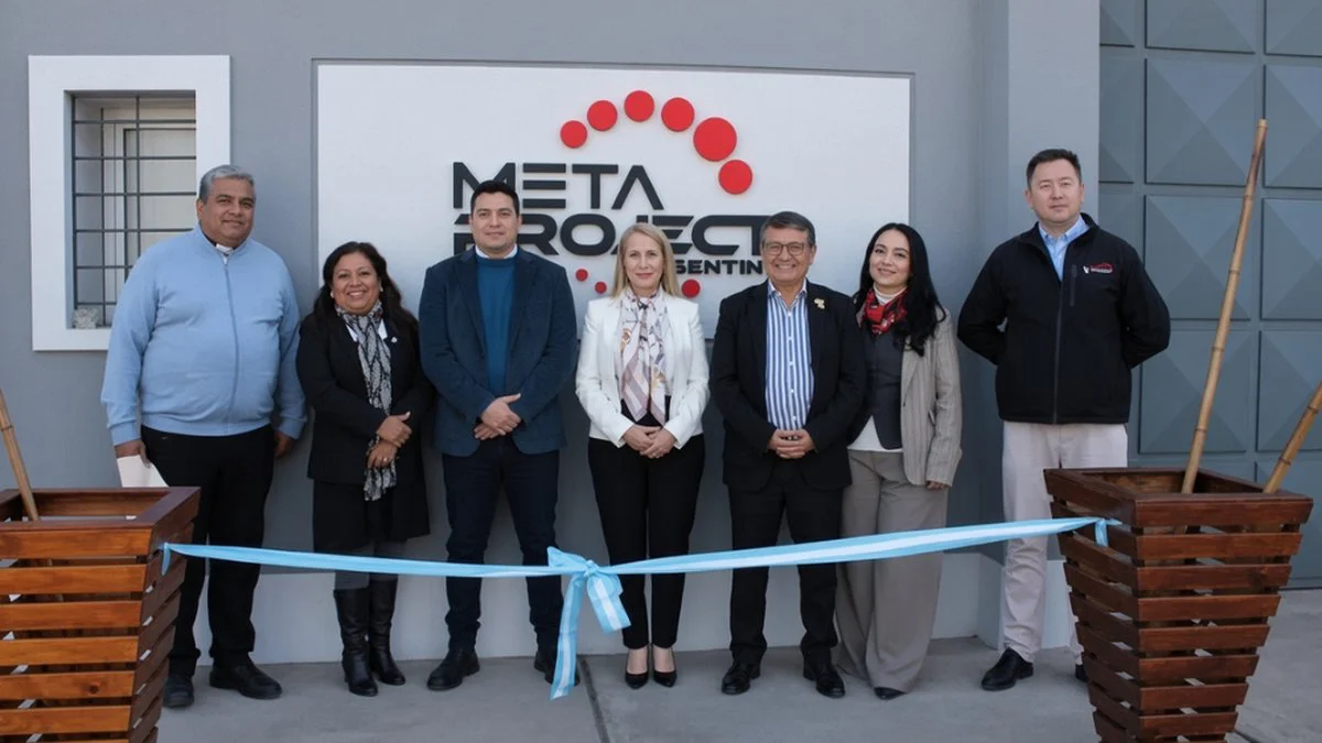 MetaProject (TiempoSJ)