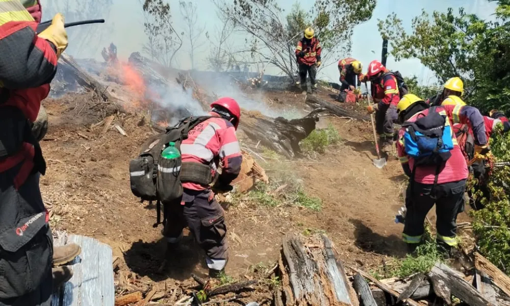 combate del incendio combate del incendio
