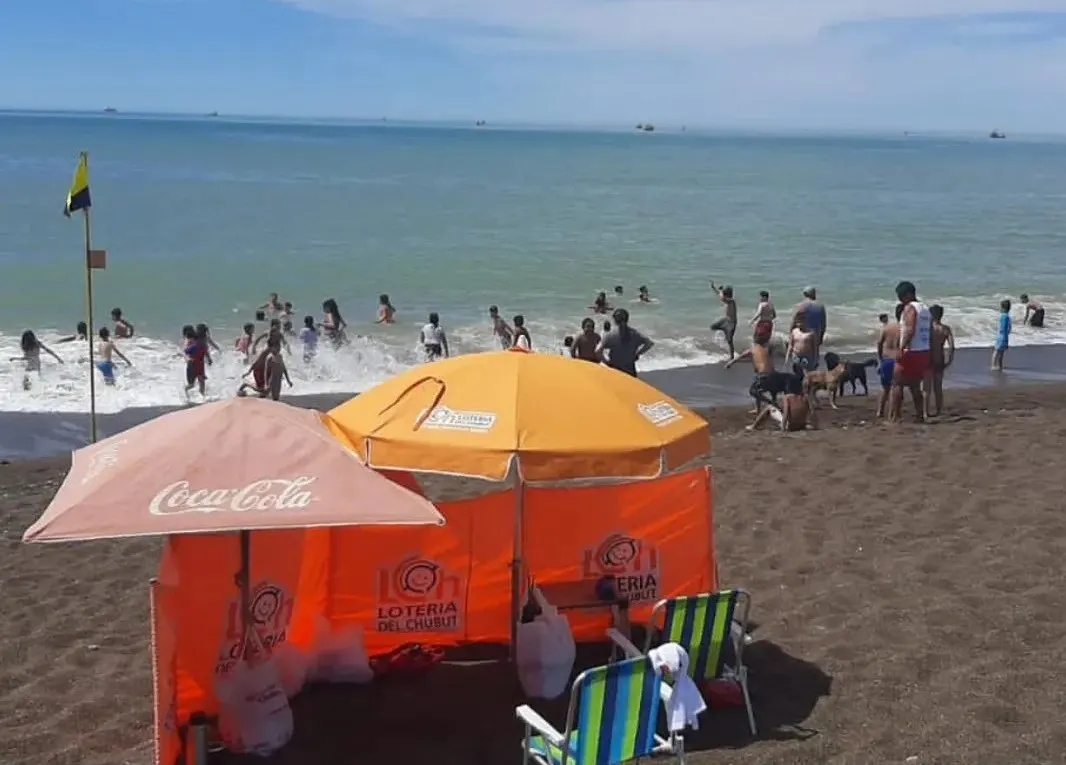 perros en la playa