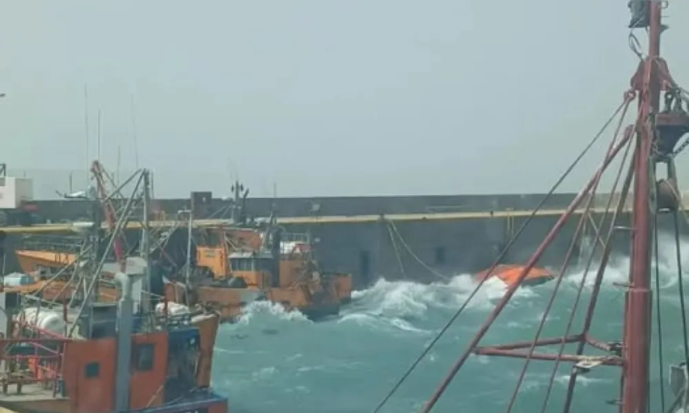 Barcos hundidos en Caleta Paula