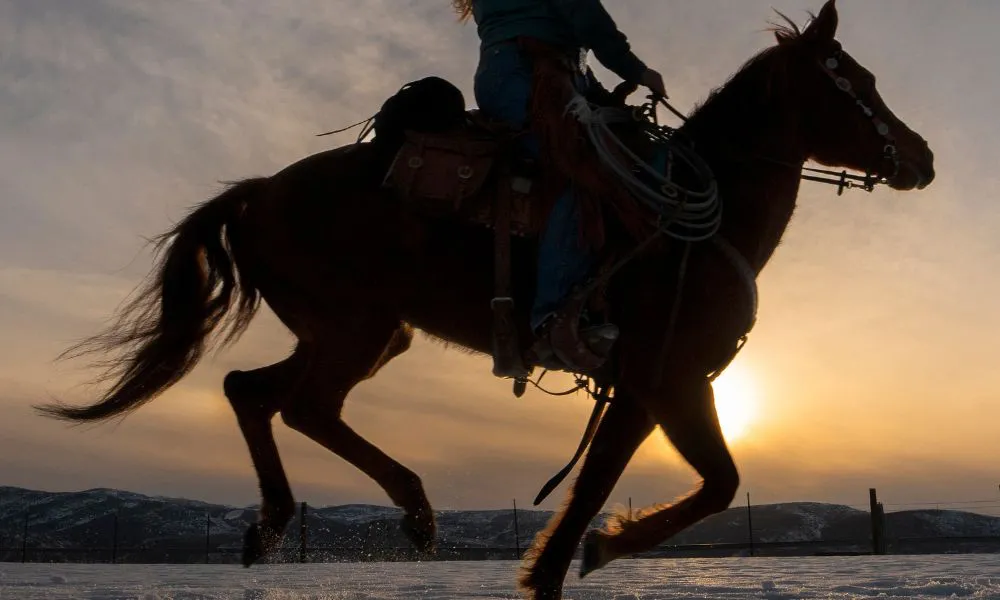 Jineteada foto ilustrativa Freepik