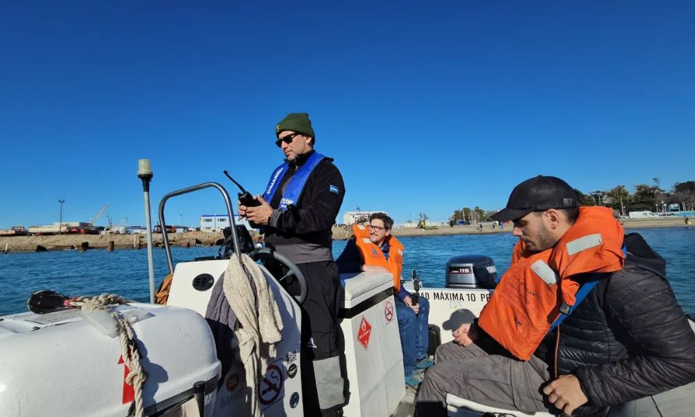 Ballena Sei nuevos avistajes en Chubut