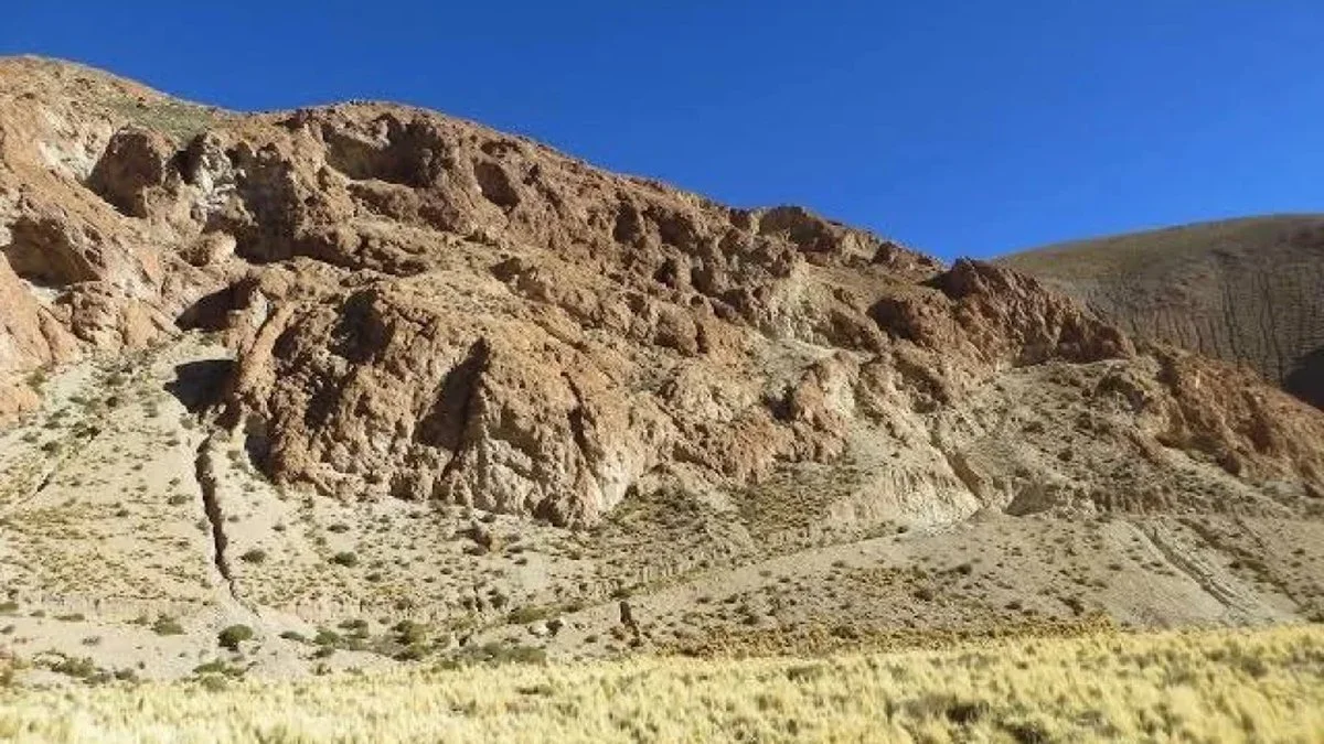 Organullo, en Salta, es uno de los activos principales de Latin Metals (MyD)