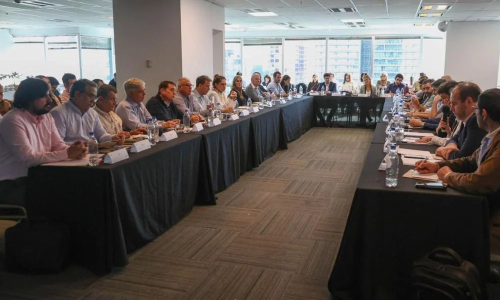 Chubut impulsa plan industrial forestal con el CFI
