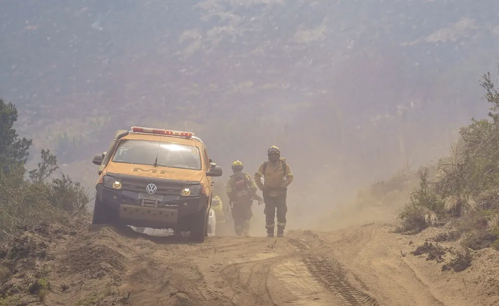 incendio Parque Nacional Lanin jueves