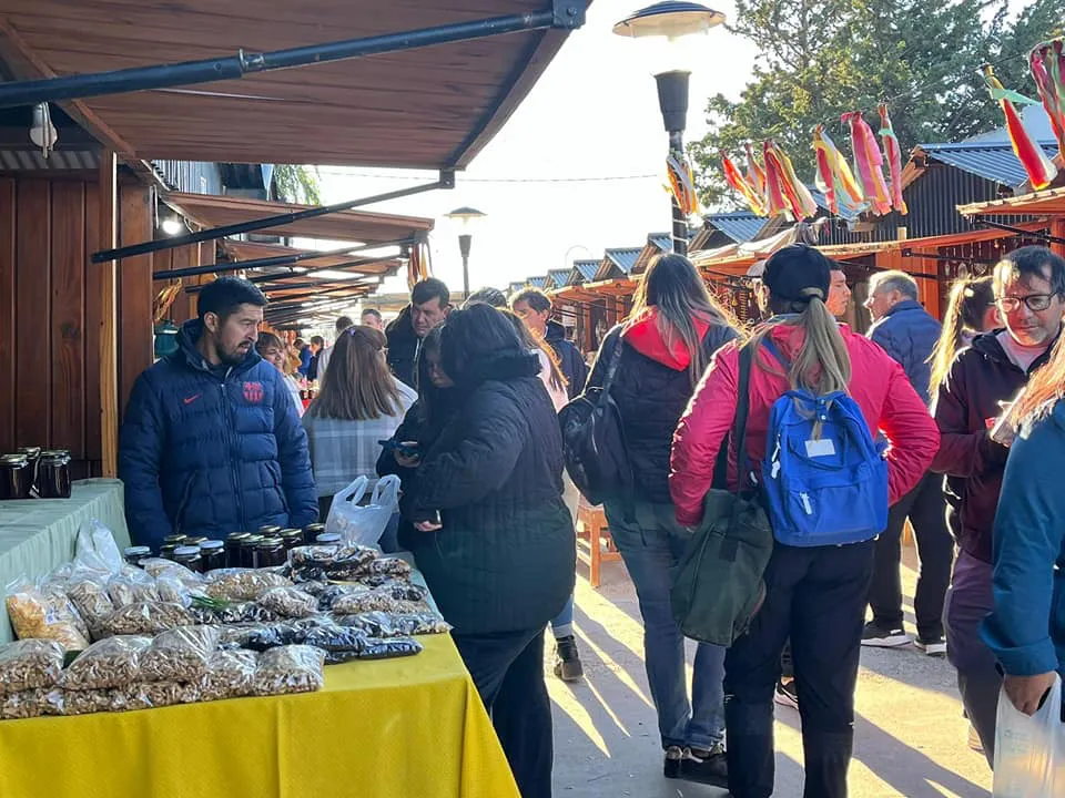 Domingo 15 Feria en 28 de Julio
