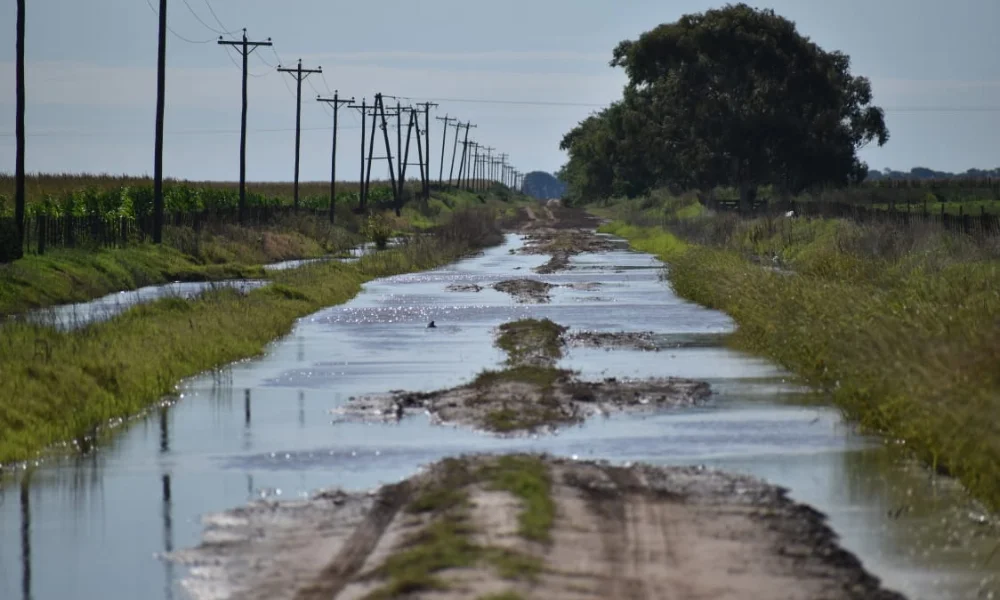 caminos sin mantenimientos