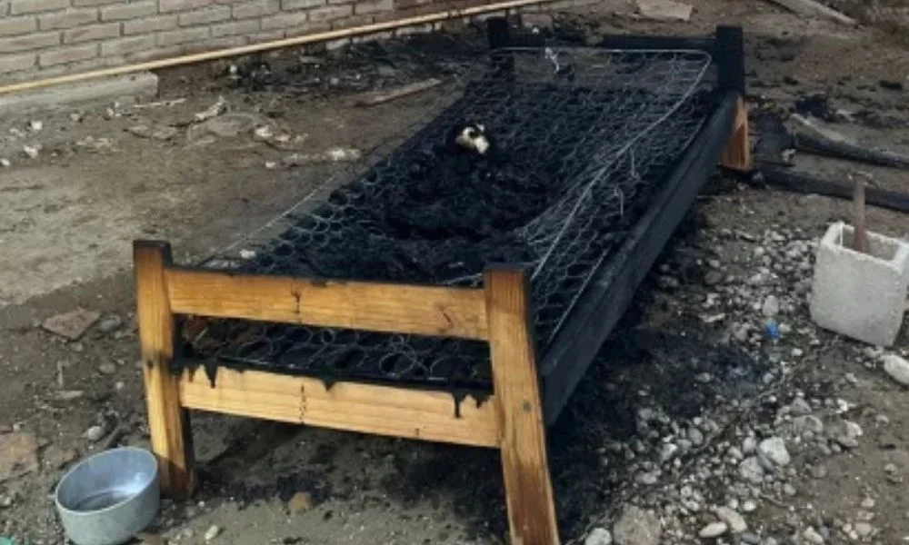 Cama incendiada Foto La Opinión Austral