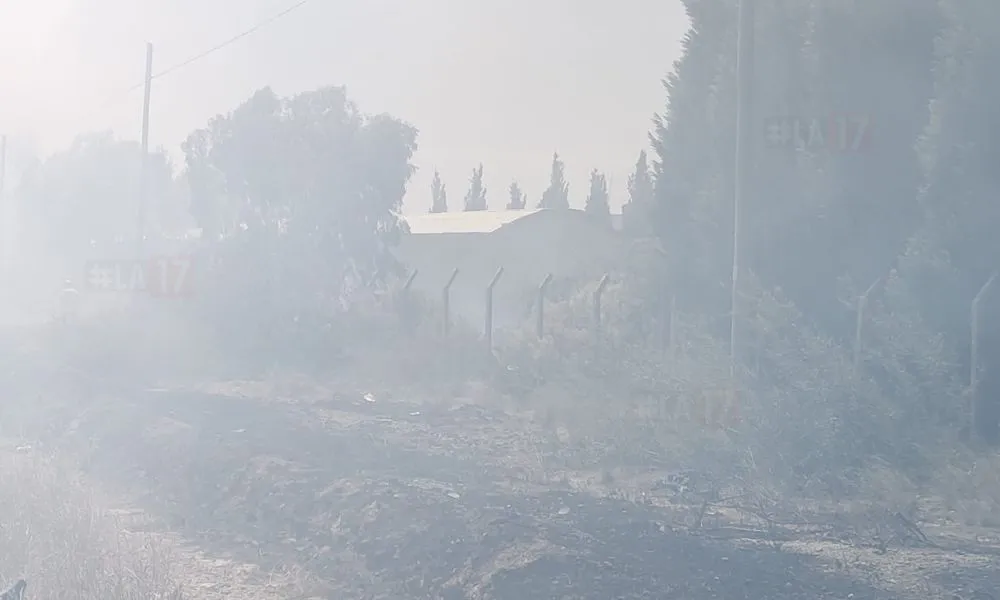 incendio en Conarpesa Madryn