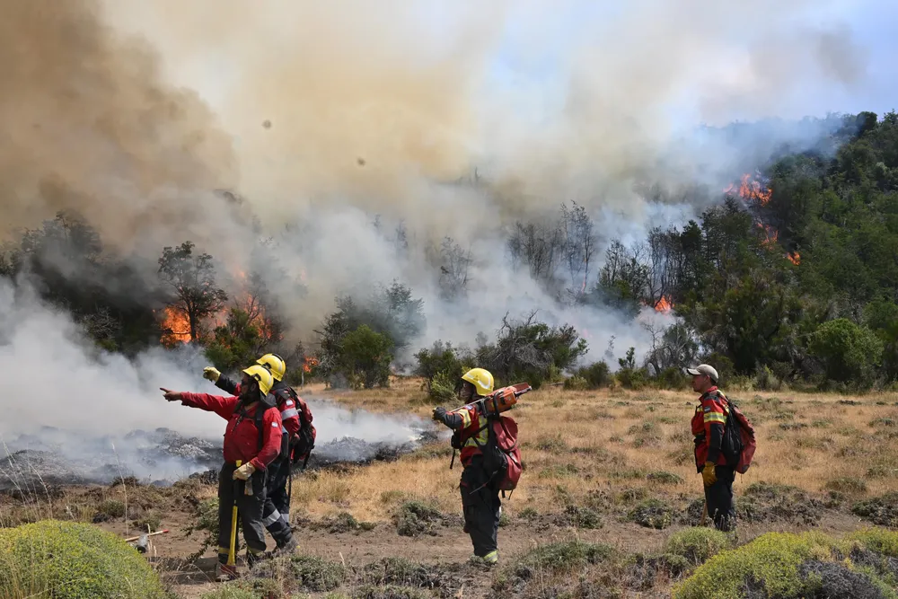 Incendio en el Parque Nacional Los Alerces