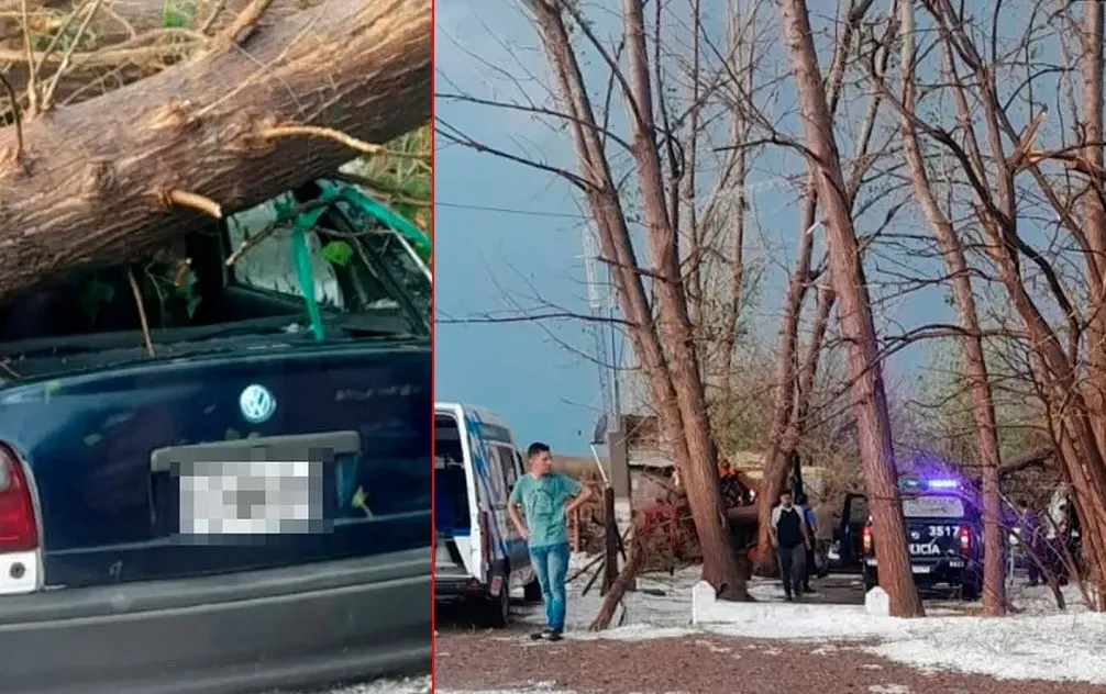 TORMENTA FATAL UN JOVEN MURIÓ APLASTADO AL PROTEGER SU AUTO (1)