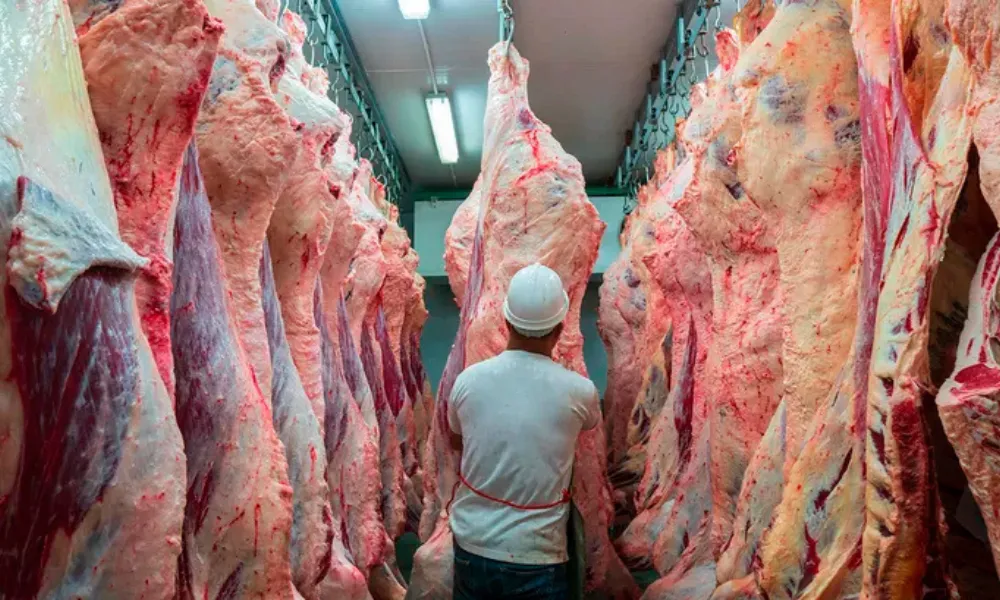 Carne Vacuna