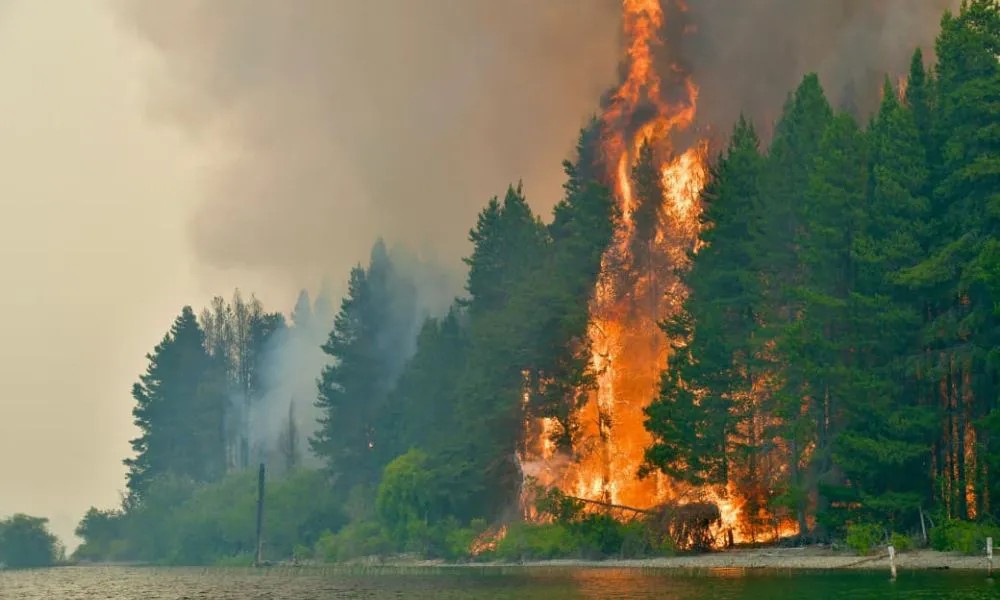 Incendio en Puerto Patriada